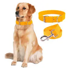 dog belt 30mm