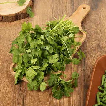 Coriander (Dhaniya or Sambhar) 250 gram