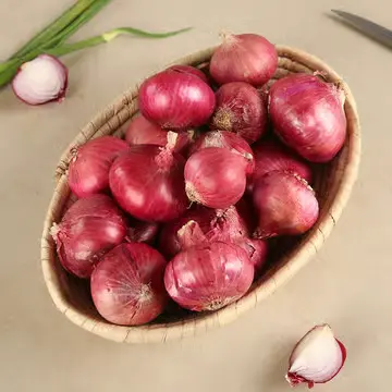 Onion(kanda)