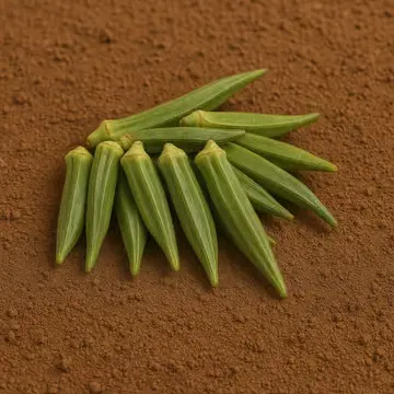 Ladyfinger(Bhindi)500gram
