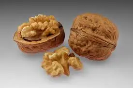 Walnuts(Akrod) 500gram